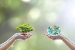 Two hands are shown in focus, gently holding symbols of nature and sustainability