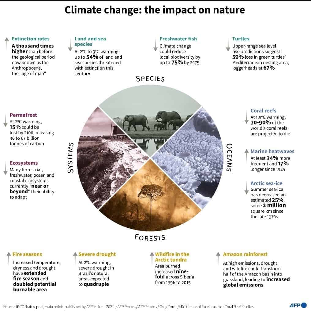 Climate change and nature impact graphic