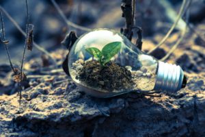 Sustainability in a bulb