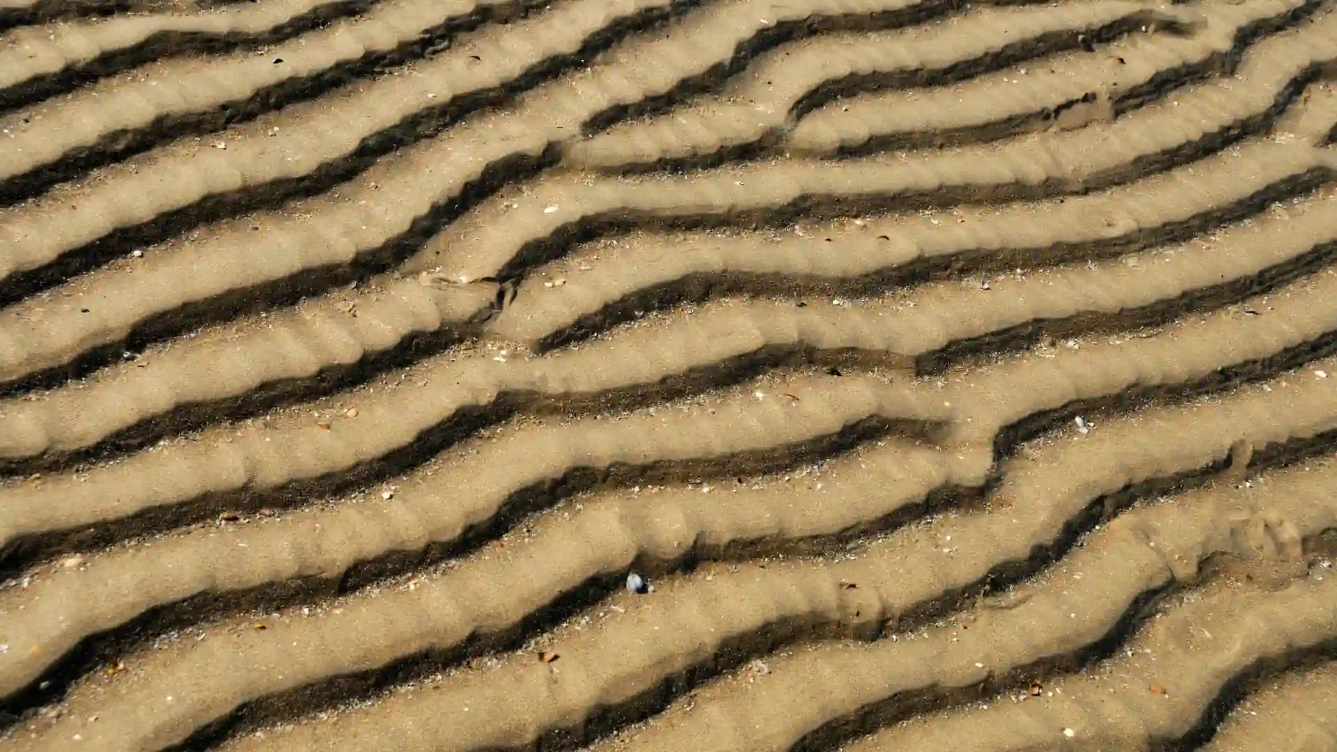 texture texture
